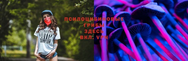 гидра Алексин