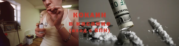 гидра Алексин
