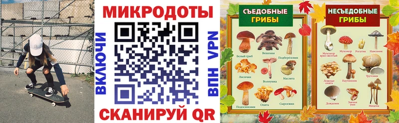 Псилоцибиновые грибы GOLDEN TEACHER Бирюч
